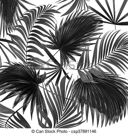 תמונות שחור לבן